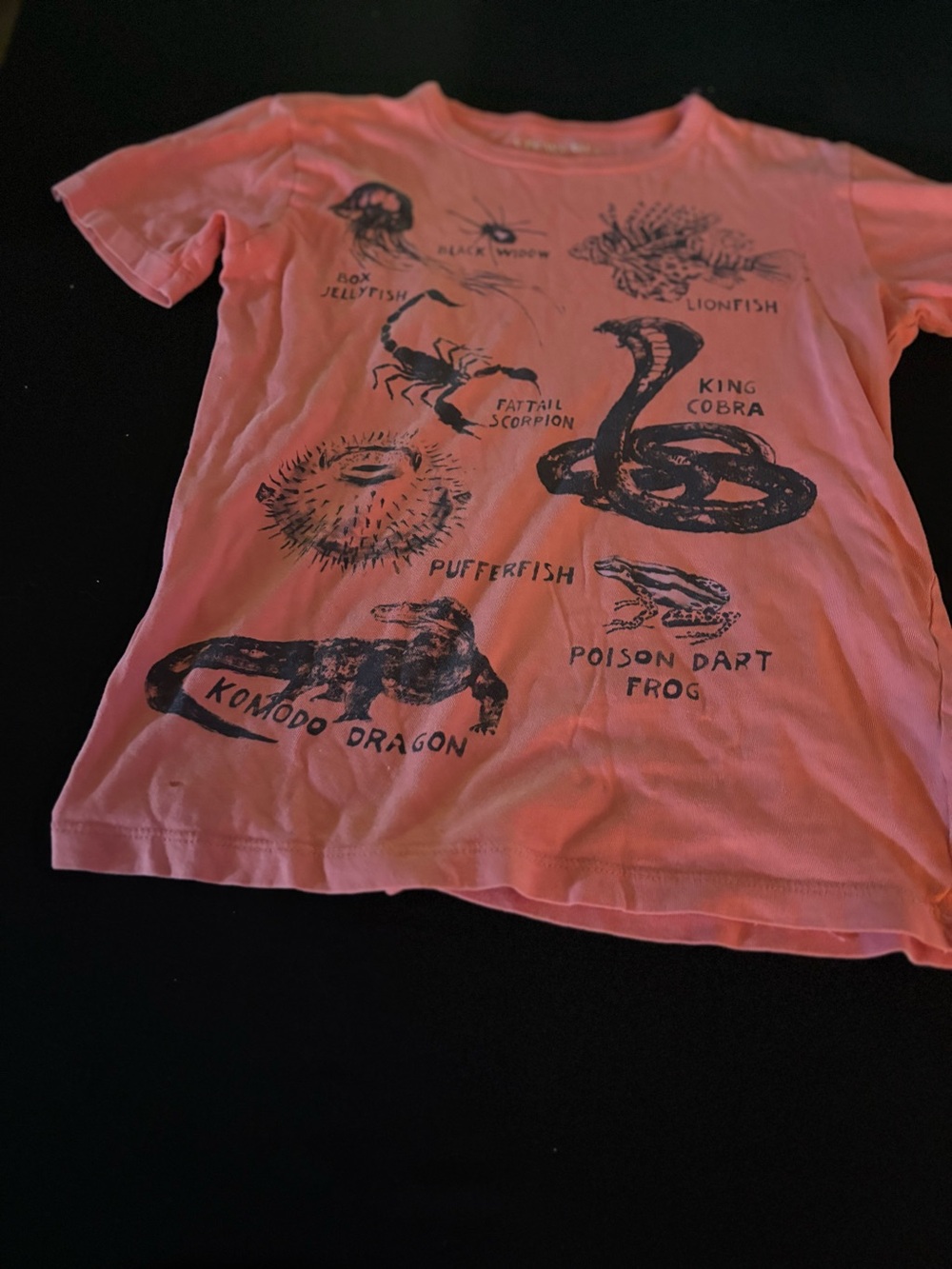 (A300) Boys Graphic Reptile & Sea Life T-Shirt -Coral Size 10 By Crewcuts